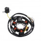 STATOR ALLUMAGE SCOOT ADAPTABLE PEUGEOT 50 TKR, TREKKER, SPEEDFIGHT, VIVACITY 2T, BUXY, X-FIGHT, ELYSEO, LOOXOR / PGO 50 BIG MAX (6 POLES) -P2R- 3700948053119
