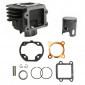 CYLINDER FOR SCOOT CPI 50 POPCORN/OLIVER/ARAGON/HUSSAR/KEEWAY 50 FOCUS/HURRICANE/MATRIX/F-ACT/GENERIC 50 XOR/IDEO (PIN OF 12) - CAST IRON+PISTON GRAPHITE - P2R ECO- 3700948020500