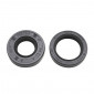 OIL SEAL FOR CKANKSHAFT FOR MINARELLI 50 AM6/MBK 50 X-POWER, X-LIMIT/YAMAHA 50 TZR, DTR/PEUGEOT 50 XPS, XR6/RIEJU 50 RS1, SMX/BETA 50 RR/APRILIA 50 RS (PAIR) -SELECTION P2R- 3700948060629