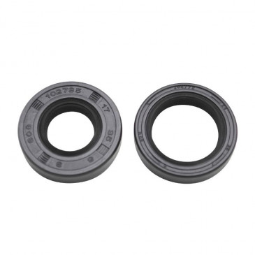 OIL SEAL FOR CKANKSHAFT FOR MINARELLI 50 AM6/MBK 50 X-POWER, X-LIMIT/YAMAHA 50 TZR, DTR/PEUGEOT 50 XPS, XR6/RIEJU 50 RS1, SMX/BETA 50 RR/APRILIA 50 RS (PAIR) -SELECTION P2R- 3700948060629