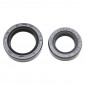 OIL SEAL FOR CRANKSHAFT FOR SCOOT PEUGEOT 50 TKR, TREKKER, SPEEDFIGHT, VIVACITY, BUXY, ELYSEO, SPEEDAKE, SQUAB (PAIR) -SELECTION P2R- 3700948060667