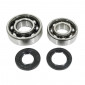 BEARING FOR CRANKSHAFT+SEALS FOR MOPED P2R FOR PEUGEOT 103 (KIT 6204+6203 FAG POLYAMID C3/ NITRILE SEALS )