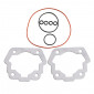 GASKET SET FOR CYLINDER KIT ATHENA FOR DERBI 50 SENDA 1996>2005, GPR/GILERA 50 SMT 2000>2005, RCR ( DERBI EURO 2) - 8056684268313