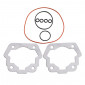 GASKET SET FOR CYLINDER KIT ATHENA FOR DERBI 50 SENDA 1996>2005, GPR/GILERA 50 SMT 2000>2005, RCR ( DERBI EURO 2) -