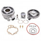HAUT MOTEUR 50 A BOITE ADAPTABLE MINARELLI 50 AM6/MBK 50 X-POWER, X-LIMIT/YAMAHA 50 TZR, DTR/PEUGEOT 50 XPS/RIEJU 50 RS1/BETA 50 RR/APRILIA 50 RS 1995>2005 -P2R- 3700948021125