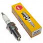 SPARK PLUG NGK DP9EA-9 (6629) 0087295166291