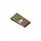 STEEL CAPTIVE NUT FOR BODY PARTS (RANGE 700 PARTS IN BOX) -P2R- 3700948107447