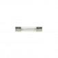 GLASS TUBE FUSE 20A (SOLD PER 10 IN A BAG)