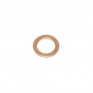 DRAIN PLUG GASKET - BRASS 8x12x1.00 (SOLD PER UNIT) -P2R- 3701213424429