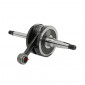 EMBIELLAGE/VILEBREQUIN CYCLO ADAPTABLE PEUGEOT FOX (VENDU A L'UNITE) -SELECTION P2R- 3701213424603