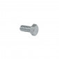 HEX SCREW - PLATED STEEL- ALGI 5x10 (100 IN A BOX) (655020) 3284660219096