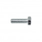 HEX SCREW - PLATED STEEL- ALGI 5x15 (100 IN A BOX) (655023)