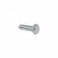 HEX SCREW - PLATED STEEL- ALGI 5x15 (100 IN A BOX) (655023) 3284660219102