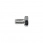 HEX SCREW - PLATED STEEL- ALGI 6x10 (100 IN A BOX) (655040) 3284660219164
