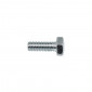 HEX SCREW - PLATED STEEL- ALGI 6x15 (100 IN A BOX) (655043)