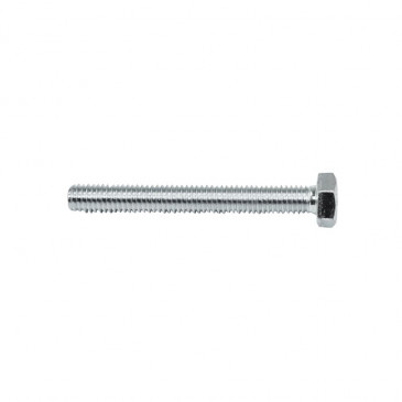 HEX SCREW - PLATED STEEL- ALGI 6x50 (100 IN A BOX) (655050)