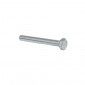 HEX SCREW - PLATED STEEL- ALGI 6x50 (100 IN A BOX) (655050)