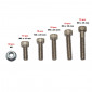 ALLEN SCREW - CHC Ø M6 LONG 15 / 20 / 25 / 30 / 35mm (BOX : 50 SCREWS+30 BOLTS) -SELECTION P2R- 3700948213674