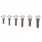 ALLEN SCREW - M5 x 15/20mm + M6 x 20/25mm + M8 20/25mm (range of 60 units in box) -SELECTION P2R-