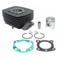 CYLINDRE CYCLO ADAPTABLE PEUGEOT 103 MVL-SP, SPX-RCX, VOGUE AIR FONTE FIXATION BRIDE (AVEC JOINTS) -P2R- 3700948116135
