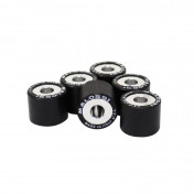 GALET/ROULEAU SCOOT MALOSSI 19x15,5 8,4g (x6) POUR PIAGGIO 50 ZIP 2T ET 4T 2000>, TYPHOON 1999>, LIBERTY 2T ET 4T, NRG, VESPA LX 2T ET 4T/GILERA 50 STALKER, RUNNER, DNA, ICE (669420O0) 3700948215494