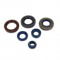 OIL SEAL (FULL SET) FOR MINARELLI 50 AM6/BETA 50 RR/YAMAHA 50 TZR/MBK X-POWER (PRO-SERIES) -ARTEIN- 8434579057233