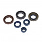 OIL SEAL (FULL SET) FOR MINARELLI 50 AM6/BETA 50 RR/YAMAHA 50 TZR/MBK X-POWER (PRO-SERIES) -ARTEIN- 8434579057233