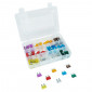 CLASSICAL FLAT FUSE 3 - 5 - 7,5 - 20 - 25 - 30A (100 IN A BOX) -SELECTION P2R- 3700948087312