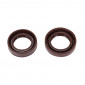OIL SEAL FOR CRANKSHAFT FOR SCOOT PIAGGIO 50 AIR/L.C. / DERBI 50 SCOOTER AIR/L.C. (2 VITON) (PRO-SERIES) -ARTEIN- 8434579057073