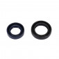 OIL SEAL FOR CRANKSHAFT FOR SCOOT PEUGEOT 50 BUXY, SQUAB, ELYSEO, SPEEDFIGHT AIR, SPEEDFIGHT 2 AIR, SPEEDAKE, TREKKER, SPEEDFIGHT 2 L.C. 2000>2008 -ARTEIN- 8434579057110