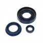 OIL SEAL FOR CRANKSHAFT+WATER PUMP SEALS (PRO-SERIES KIT) FOR MBK 50 NITRO/YAMAHA 50 AEROX -ARTEIN- 8434579057172