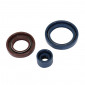 OIL SEAL FOR CRANKSHAFT+WATER PUMP SEALS (PRO-SERIES KIT) FOR GILERA 50 GSM, RM, H@K -ARTEIN- 8434579057202