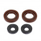OIL SEAL FOR CRANKSHAFT+WATER PUMP SEALS (PRO-SERIES KIT) FOR DERBI 50 SENDA, GPR / GILERA 50 SMT, RCR (2 VITON) -ARTEIN- 8434579057219