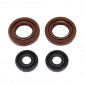 OIL SEAL FOR CRANKSHAFT+WATER PUMP SEALS (PRO-SERIES KIT) FOR DERBI 50 SENDA, GPR / GILERA 50 SMT, RCR (2 VITON) -ARTEIN- 8434579057219