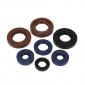 OIL SEAL (FULL SET) FOR DERBI 50 SENDA, GPR / GILERA 50 SMT, RCR (2 VITON) (PRO-SERIES) -ARTEIN- 8434579057257