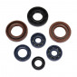 OIL SEAL (FULL SET) FOR DERBI 50 SENDA, GPR / GILERA 50 SMT, RCR (2 VITON) (PRO-SERIES) -ARTEIN- 8434579057257