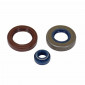 JOINT SPI EMBIELLAGE ET POMPE A EAU 50 A BOITE ADAPTABLE MINARELLI 50 AM6 (PRO-SERIES) (KIT) -ARTEIN- 8434579057189