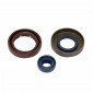 OIL SEAL FOR CRANKSHAFT+WATER PUMP SEALS (PRO-SERIES KIT) FOR MINARELLI 50 AM6 -ARTEIN- 8434579057189