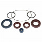 OIL SEAL (FULL SET) FOR SCOOT PIAGGIO 50 ZIP SP, NRG LC / DERBI 50 ATLANTIS LC, GP1 (7 NOK) (PRO-SERIES) -ARTEIN-