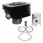 CYLINDER FOR MOPED DR CAST IRON FOR PIAGGIO 50 CIAO PX (PIN Ø 12) 3700948161005
