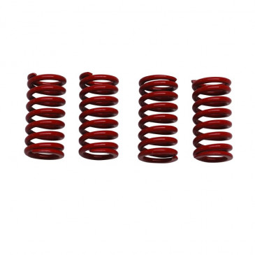 RESSORT EMBRAYAGE 50 A BOITE REPLAY POUR MINARELLI 50 AM6/MBK 50 X-POWER, X-LIMIT/YAMAHA 50 TZR, DTR/PEUGEOT 50 XPS, XR6/RIEJU 50 RS1, SMX/BETA 50 RR/APRILIA 50 RS (RENFORCE) (x4) 3700948038253