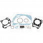 COMPLETE GASKET SET - FOR MAXISCOOTER SUZUKI 200 BURGMAN >2007 -ARTEIN-