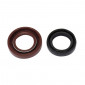 OIL SEAL FOR CRANKSHAFT FOR 50cc MOTORBIKE DERBI VARIANT START 5 -ARTEIN- 8434579057134