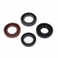 OIL SEAL (FULL SET) FOR MOPED DERBI VARIANT START 5 -ARTEIN-