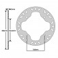DISQUE DE FREIN ADAPTABLE HONDA 1000 XLV VARADERO 1999>2002 AR, 750 XRV R AFRICA TWIN 1990>2003 AR (EXT 256mm - INT 144.4mm - 4 TROUS) (DF5003A) -NEWFREN-