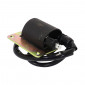 BOBINE ALLUMAGE AVEC CDI SCOOT ADAPTABLE PIAGGIO 125 TYPHOON 1993>2000 -P2R- 3700948209028