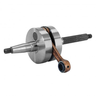 CRANKSHAFT FOR SCOOT MALOSSI RHQ FOR PIAGGIO 50 ZIP, TYPHOON, NRG, LIBERTY/GILERA 50 STALKER, RUNNER, DNA, ICE -53 7600- 3700948220115