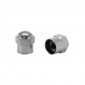 VALVE CAP -SCHRADER - STEEL M1 (PAIR) -SELECTION P2R-