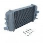 RADIATOR FOR 50cc MOTORBIKE DERBI 50 SENDA (WITH LOCATION FOR TEMP SENSOR) /GILERA 50 SMT, RCR -P2R- 3700948209042