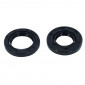 OIL SEAL FOR CKANKSHAFT FOR PEUGEOT 50 KISBEE 4 stroke 2011>2017 (PAIR) -P2R- 3700948207734